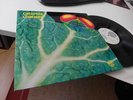 CATAPILLA CHANGES IN 1972 MINT ON VERTIGO SWIRL RARE