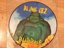 Blink 182 Buddha Vinyl Rare Picture Disc