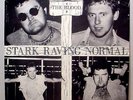 THE BLOOD - Stark Raving Normal - '80 UK press hardcore punk - 7