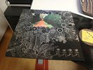 The Paper Garden LP in Mint recording on Antar