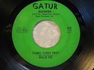 WILLIE TEE 45 First Taste Of Hurt/Funky Twist GATUR rare New Orleans soul/funk