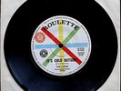 THE CHOIR ITS COLD OUTSIDE AUSSIE SAMPLE 45 US GARAGE POWER POP RASPBERRIES