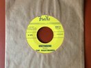 THE NIGHTMARES Rare GARAGE/INSTRUMENTAL 45 FREDLO 6007 - NM+ APPEARS UNPLAYED