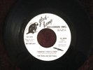 60'S GARAGE 45 THE ENGLISH SETTERS - SOMEDAY YOU'LL SEE / IT SHOULDN'T HAPPEN TO