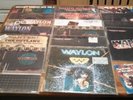 Waylon Jennings record lot