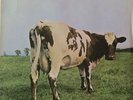 Pink Floyd - Atom Heart Mother (Harvest SHVL 781 Vinyl-LP FOC England 1970)