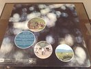 A4B4 ***Near Mint*** Vinyl Pink Floyd Obscured By Clouds UK Harvest LP SHSP 4020