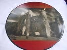 U2 THE UNFORGETTABLE FIRE VINYL PICTURE LP