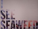DRONES, The - I See Seaweed - gatefold 2xLP