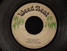 TYRONE TAYLOR - Sufferation - Orig.Ja.Weedbeat - Mint-