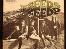 The Seeds- Pushin Too Hard Original-1966-Crescendo-gnps- 2023--play tested VG+