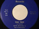 RARE NORTHERN SOUL 45/ DAVE MITCHELL & SCREAMERS 