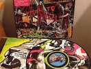 YEAH YEAH YEAHS Fever To Tell VINYL LP PICTURE DISC V. RARE & IN MINT CONDITION