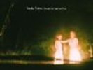 SMOKE FAIRIES 'Through Low Light and Trees LP NEW folk third man RARE 1000 made