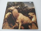 Interpol Our Love To Admire Gatefold Vinyl Edition With CD 2LP