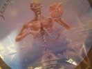 Iron maiden, seventh son picture disc lp with banner