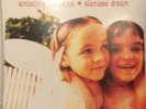 Siamese Dream by Smashing Pumpkins Vinyl 1993 Virgin Records