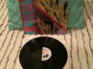 DRUNK INJUNS Frontside Grind LP 1ST PRESS Skate Rock Code of Honor JFA McRad
