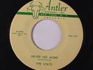 COLTS: Never No More / Shiek Of Araby 45 rare Vocal Groups