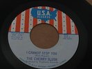 GARAGE PSYCH 45 - THE CHERRY SLUSH - I CANNOT STOP YOU - U.S.A.