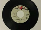 RARE 45 RPM GARAGE PSYCH ROCK PUNK 006 LIKE WHAT ME WORRY ON RED BIRD NM