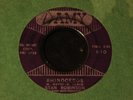 Stan Robinson-Rhinoceros/Can She Give You Fever-Popcorn 45 on Amy-HEAR