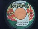 BRIGHT WYNTER - WORDS OF FIRE - FULFILMENT OF PROPHECY  7