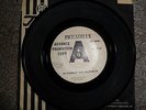 Very Rare Promo Hi diddley dee dum dum 7