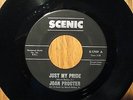 RARE PHILLY NORTHERN SOUL 45 JOAN PROCTER  JUST MY PRIDE /LAZY RIVER  SCENIC VG+