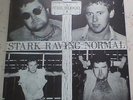 THE BLOOD STARK RAVING NORMAL EP SKINHEAD OI PUNK