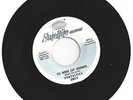Soul Vontastics-I'l Never Be Say Goodbye / Don't Mess Around-Satellite 2007