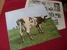 Pink Floyd:  Atom Heart Mother orig 1ST PRESS  UK  A1G/B1G   NEAR   MINT   LP