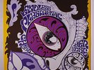 LIQUID VISIONS:  Endless Plasmatic Childhood Overdose  LP (Germany, inserts) ra