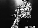 LEE FIELDS-LETS TALK IT OVER (DELUXE EDITION)-VINYL LP TRUTH AND SOUL NEW