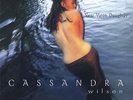 PP | Cassandra Wilson - New Moon Daughter 180g 2LPs