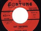Cat Squirrel, Doctor Ross, Rare 45, R&B, Fortune VG++