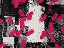 merzbow lp on dradomel records