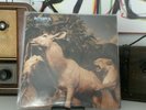 Interpol - Our Love To Admire Doppel-LP Gatefold