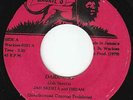 Jah Skerta - Darkness - RARE WACKIES