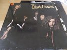 THE  BLACK CROWES  DUTCH LP W/INNER 1990 SHAKE YOUR MONEY MAKER