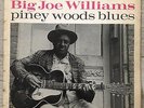 Big Joe Williams Piney Wood Blues Vintage Vinyl