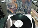 Malevolent Creation-The Ten Commandments Vinyl