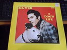 RARE 10