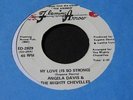 Angela Davis   My Love is So Strong   Flaming Arrow   northern soul funk 45 HEAR