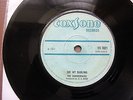 The Summertairs (Bob Marley) Oh My Darling 45 7