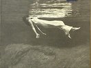 Bill Evans/Jim Hall-Undercurrent-United Artists 15003-NICE