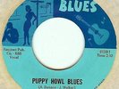 BIG MOOSE: Howl Puppy Blues 45 new breed R&B rocker hear