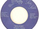 Gregory Andre and Two Plus Three - Walking / I Want To Be With You (Sea Side)