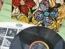 The Beach Boys LP Record Wild Honey T2859 FREE P&P