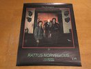 The Stranglers - Rattus Norvegicus - 30th Anniversary Poster